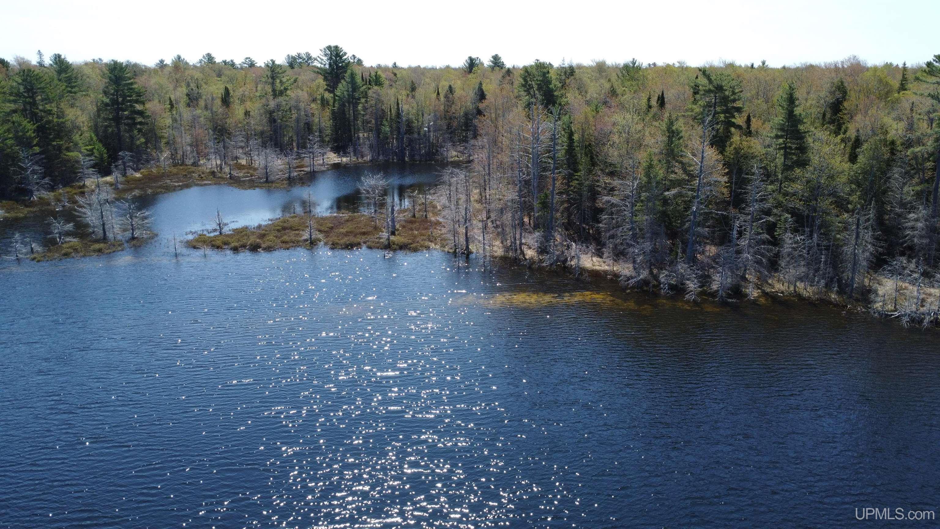 Off Adams Trail Shingleton, MI 49884 - Photo 45 of 46