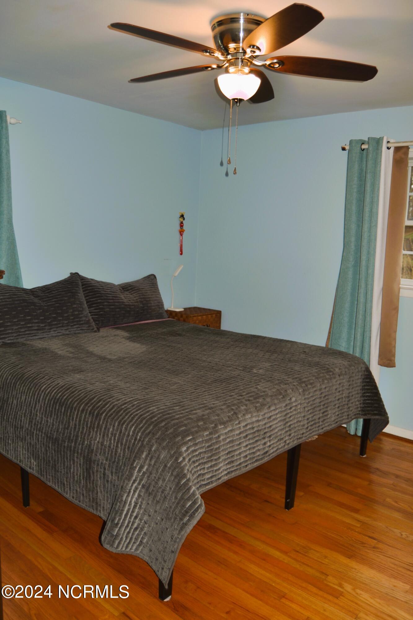 749 Hallsville Road Beulaville, NC 28518 - Photo 14 of 32 Master Bedroom