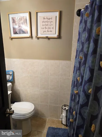 a white toilet sitting next to a shower curtain