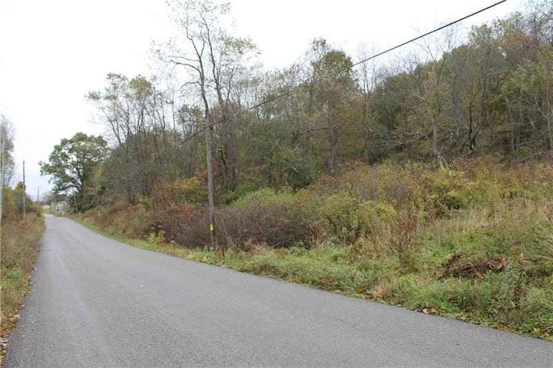 0 Flat Road Mercer, PA 16137 - Photo 1 of 10 Flat Rd. Listed property is on right.