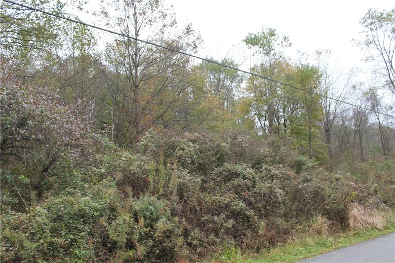 0 Flat Road Mercer, PA 16137 - Photo 2 of 10