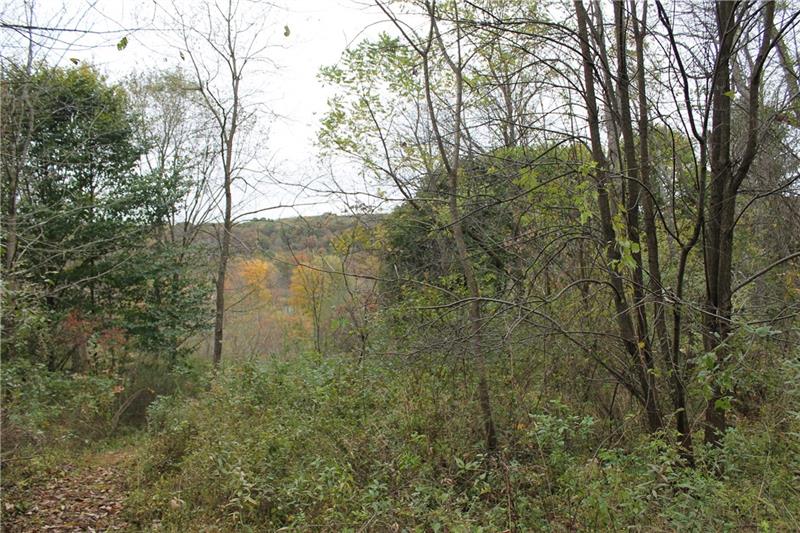 0 Flat Road Mercer, PA 16137 - Photo 3 of 10 Slight uphill, then levels off. Nice view!