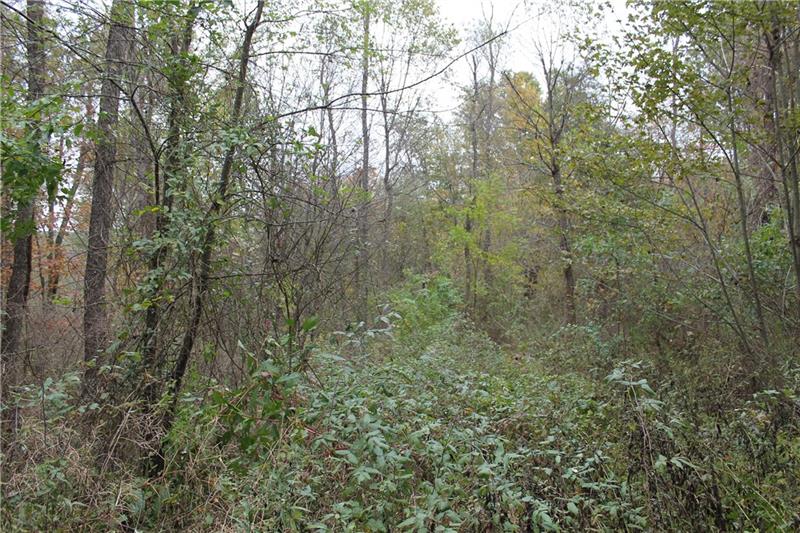 0 Flat Road Mercer, PA 16137 - Photo 4 of 10