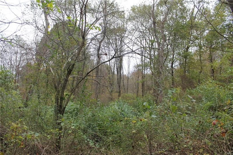 0 Flat Road Mercer, PA 16137 - Photo 5 of 10