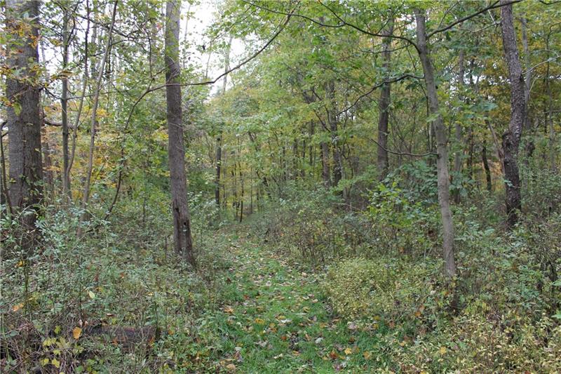0 Flat Road Mercer, PA 16137 - Photo 6 of 10