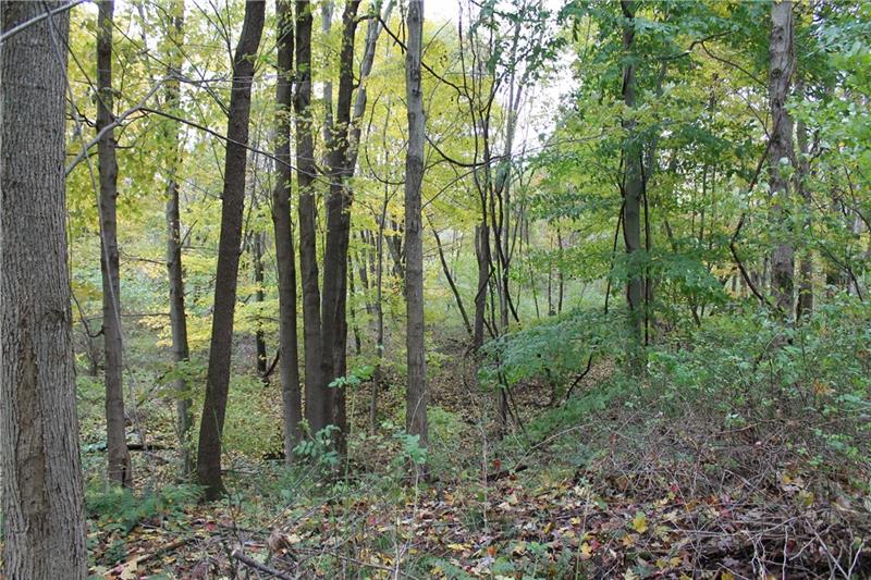 0 Flat Road Mercer, PA 16137 - Photo 7 of 10
