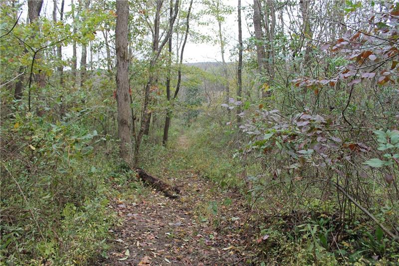 0 Flat Road Mercer, PA 16137 - Photo 8 of 10