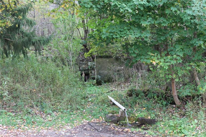 0 Flat Road Mercer, PA 16137 - Photo 9 of 10 Spring near property boundary.
