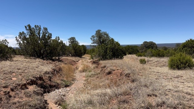 B55 Ribera Nm 87565 Ribera, NM 87560 - Photo 6 of 27