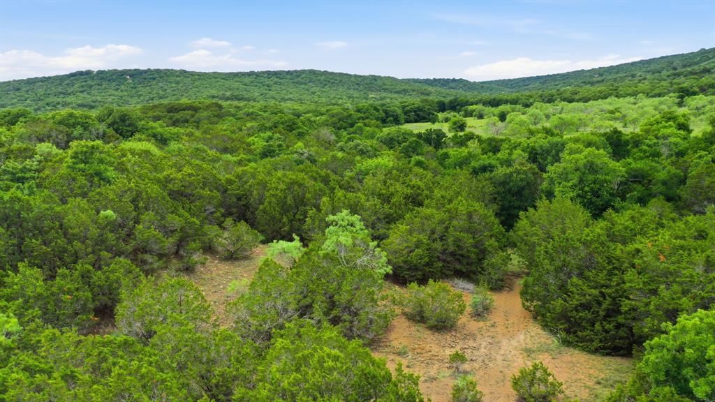 Tbd Dobbs Valley Road Millsap, TX 76066 - Photo 11 of 13 Gallery Image 11