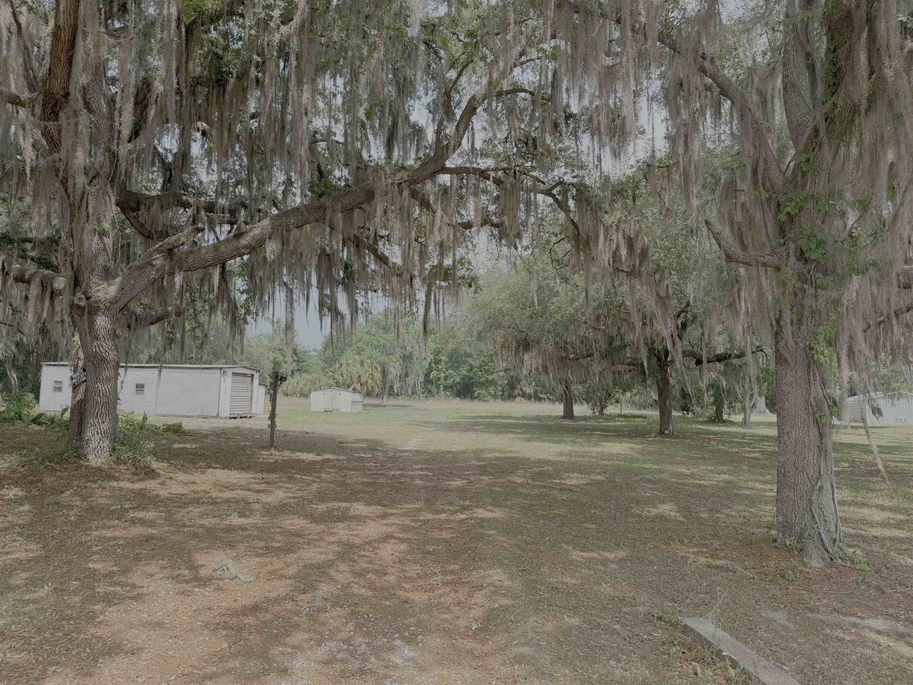 266 Hess Road Crescent City, FL 32112 - Photo 7 of 13 Gallery Image 7