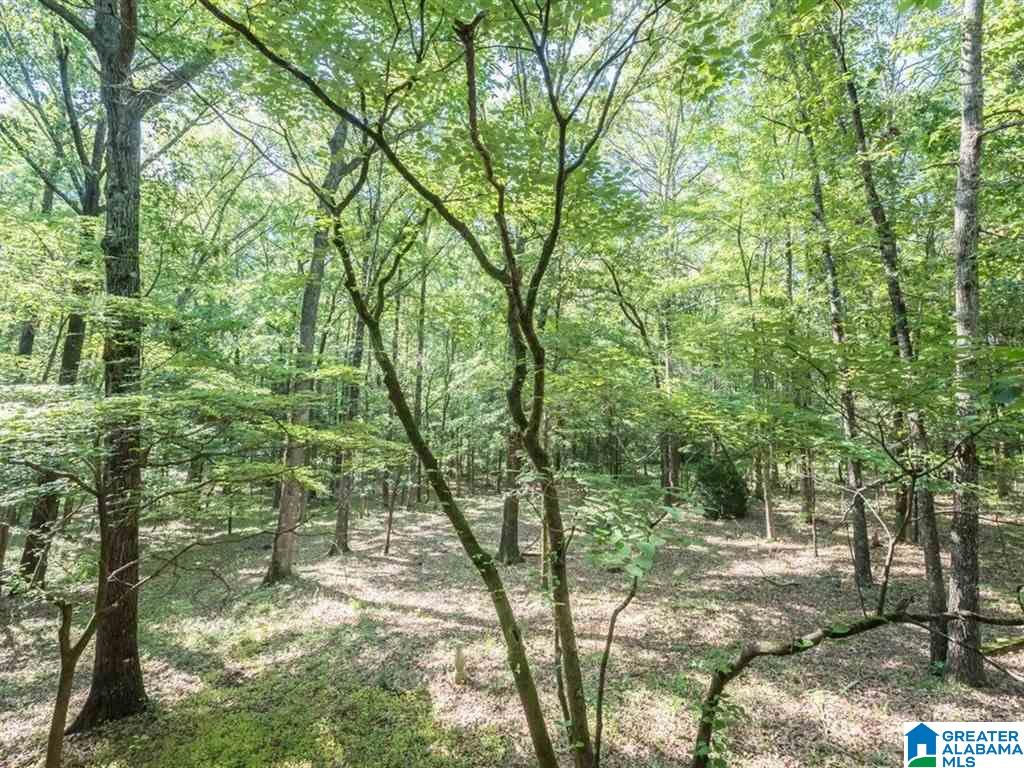 22461 Rosser Lane McCalla, AL 35111 - Photo 33 of 33