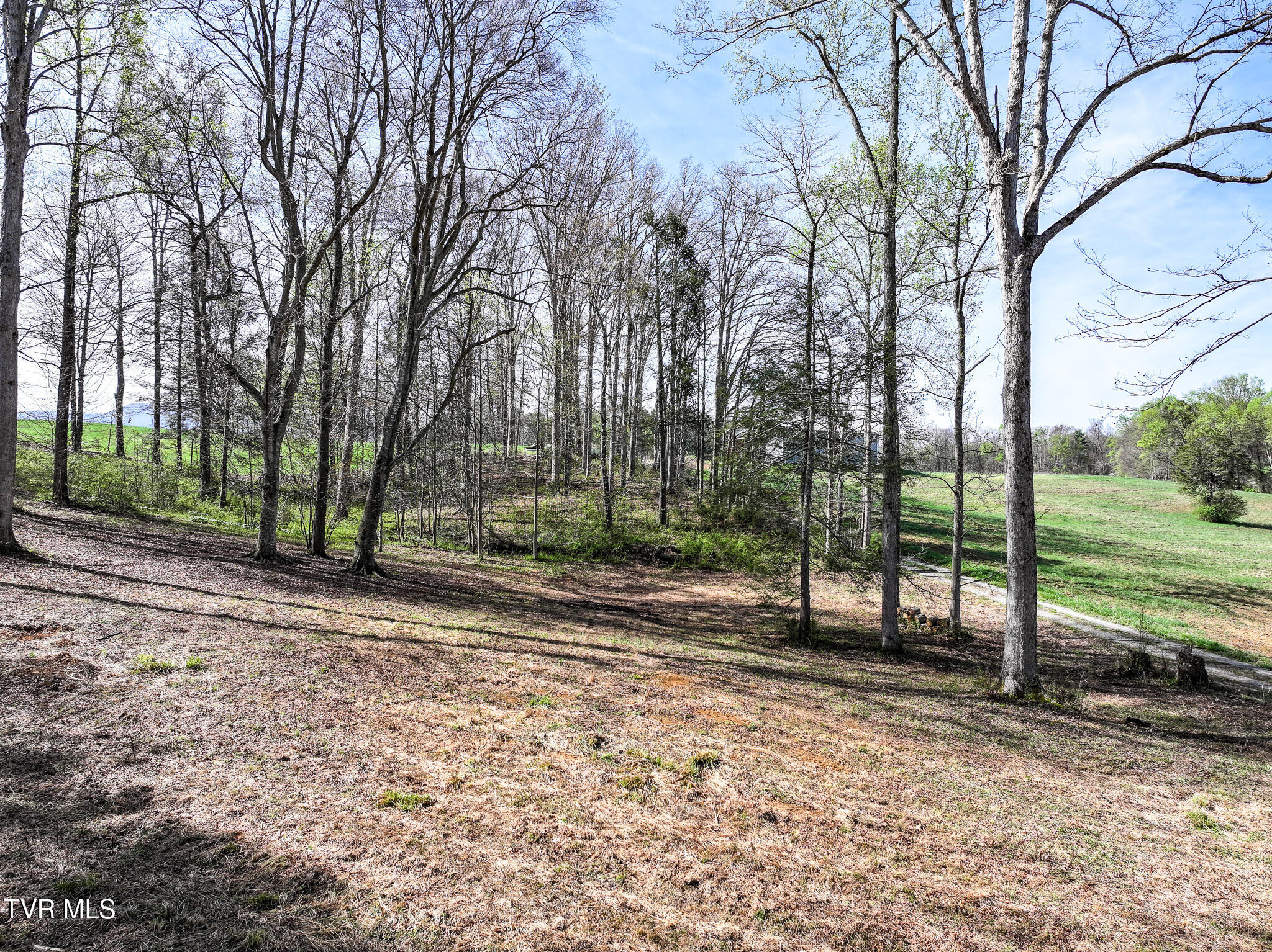 190 Treadway Road Chuckey, TN 37641 - Photo 3 of 34 DJI_20260406094105_0393_D
