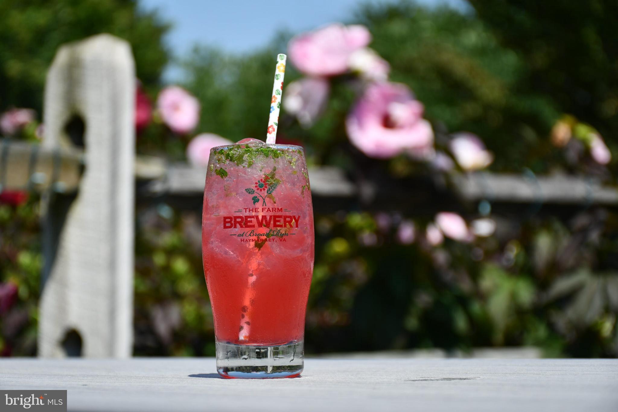 2613 Lookout Road Haymarket, VA 20169 - Photo 12 of 14