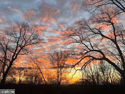 2613 Lookout Road Haymarket, VA 20169 - Photo 7 of 14 a backyard of a house with lots of green space
