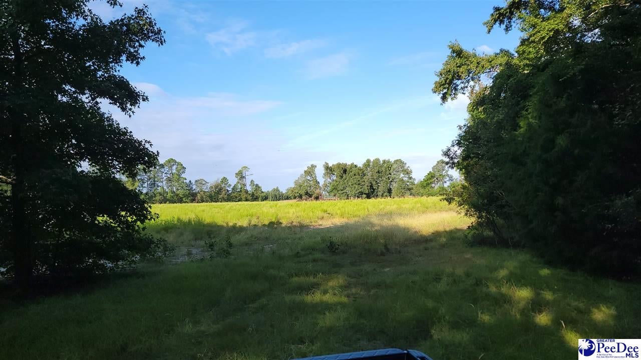 Tbd Cottingham Road Clio, SC 29525 - Photo 17 of 17 Gallery Image 17