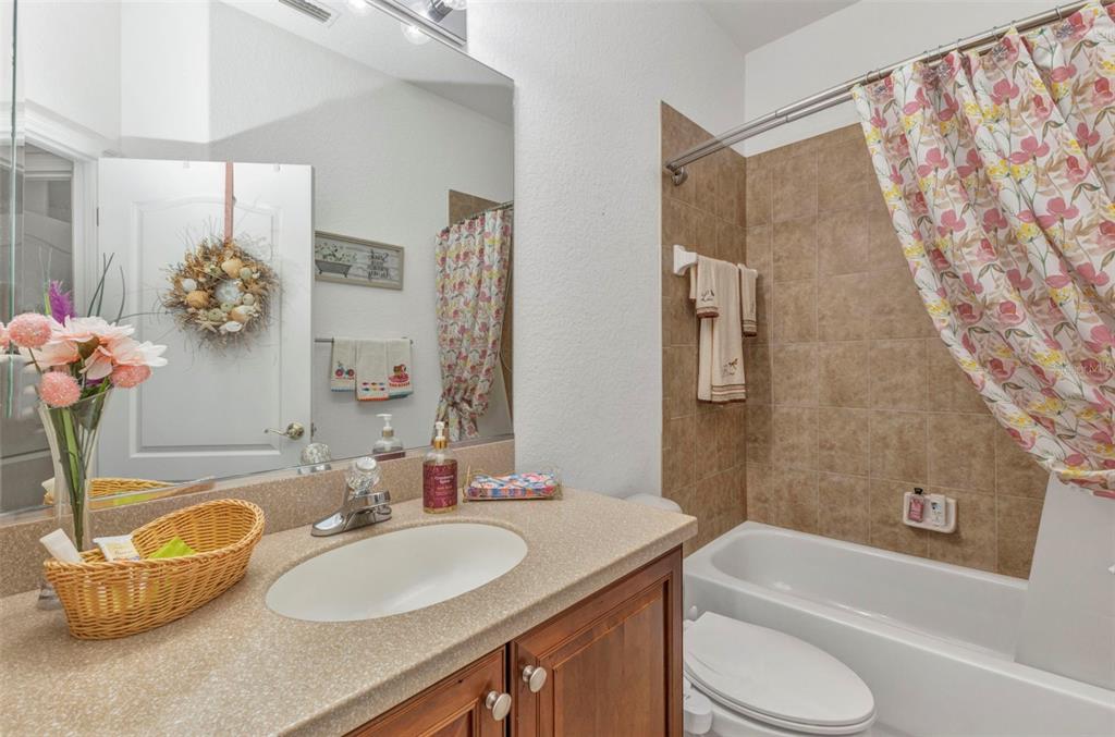 24504 Buckingham Way Punta Gorda, FL 33980 - Photo 17 of 42 a bathroom with a granite countertop sink and a mirror