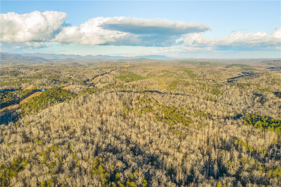 265 Liberia Road Pickens, SC 29671 - Photo 14 of 28