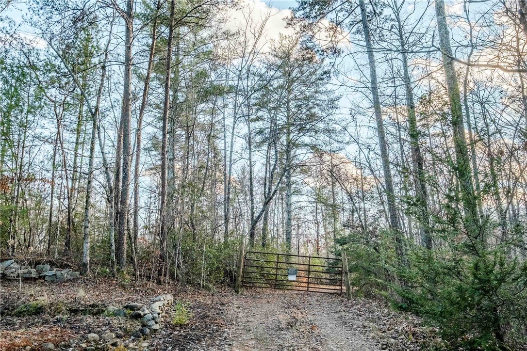265 Liberia Road Pickens, SC 29671 - Photo 18 of 28