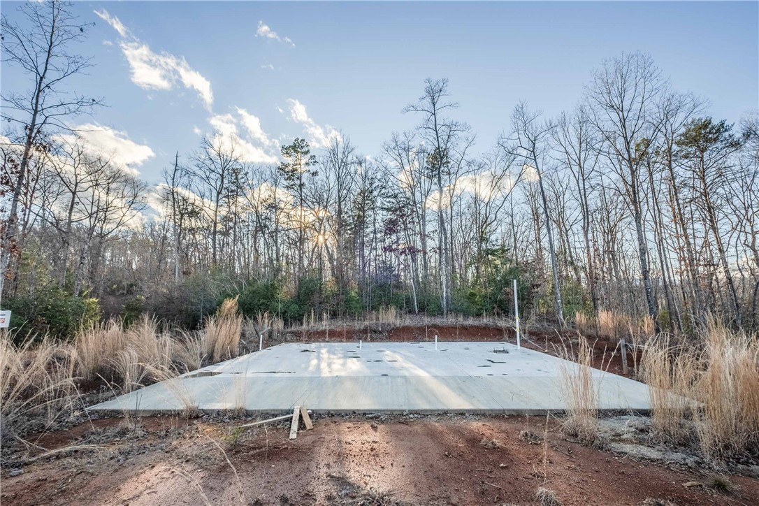 265 Liberia Road Pickens, SC 29671 - Photo 21 of 28