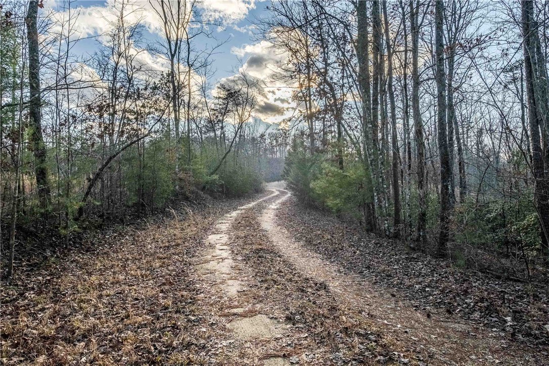 265 Liberia Road Pickens, SC 29671 - Photo 23 of 28