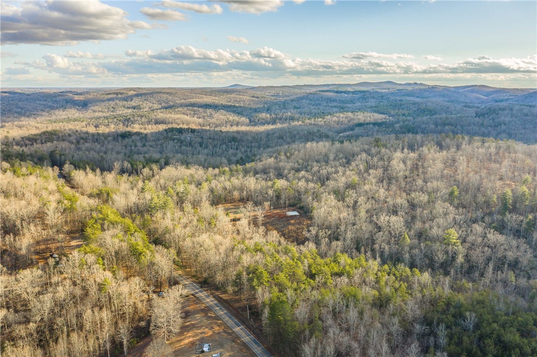 265 Liberia Road Pickens, SC 29671 - Photo 10 of 28