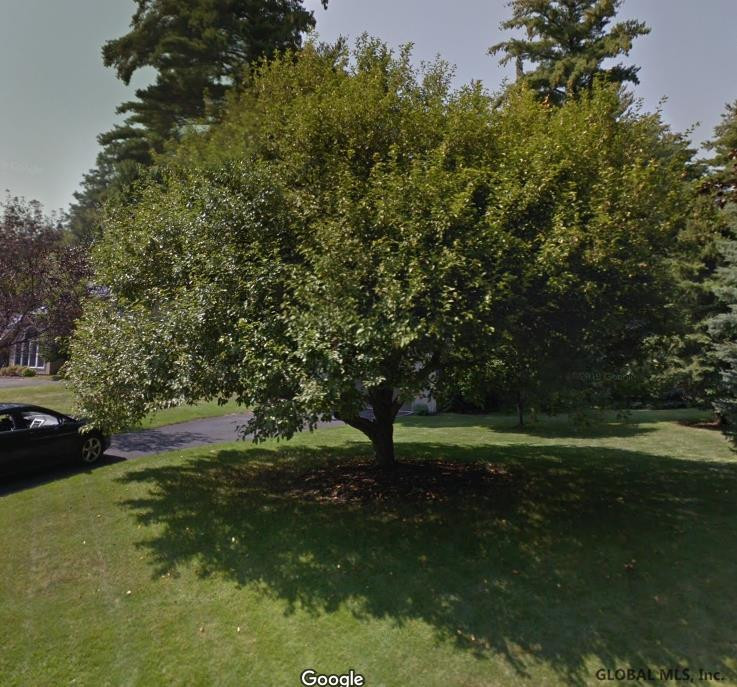 3 Meadow Rue Place Malta, NY 12020 - Photo 1 of 1 Photo 1