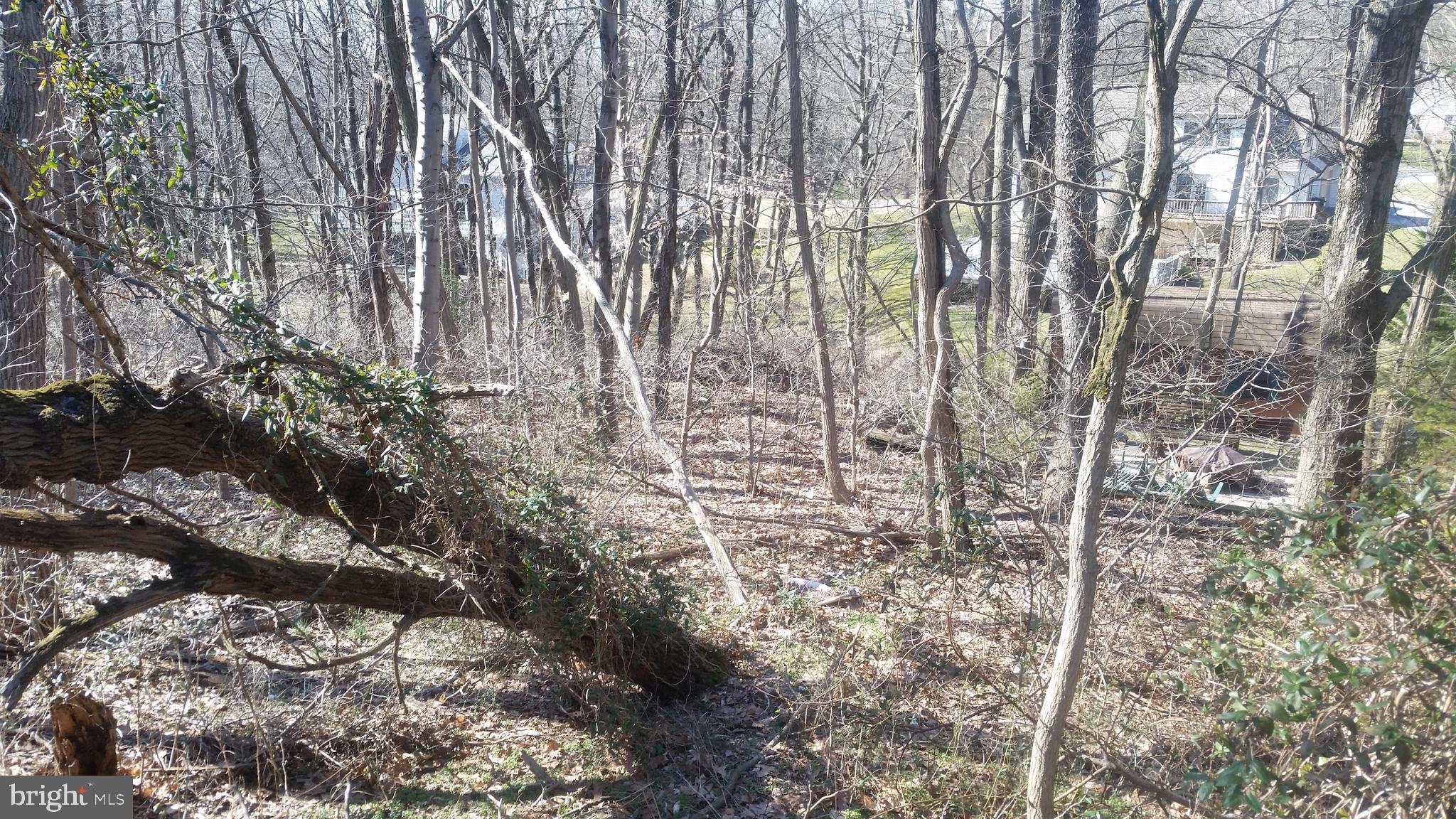 0 Robby Lane Strasburg, PA 17579 - Photo 2 of 7 Gallery Image 2