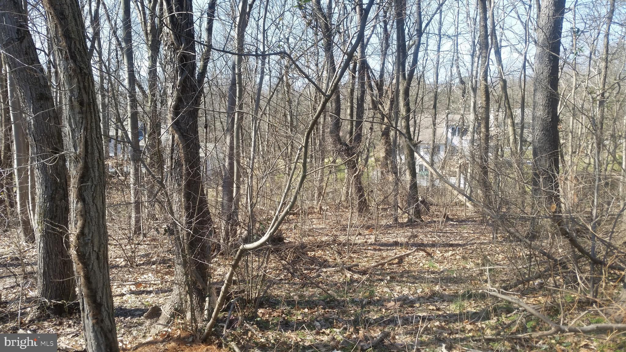 0 Robby Lane Strasburg, PA 17579 - Photo 7 of 7 Gallery Image 7