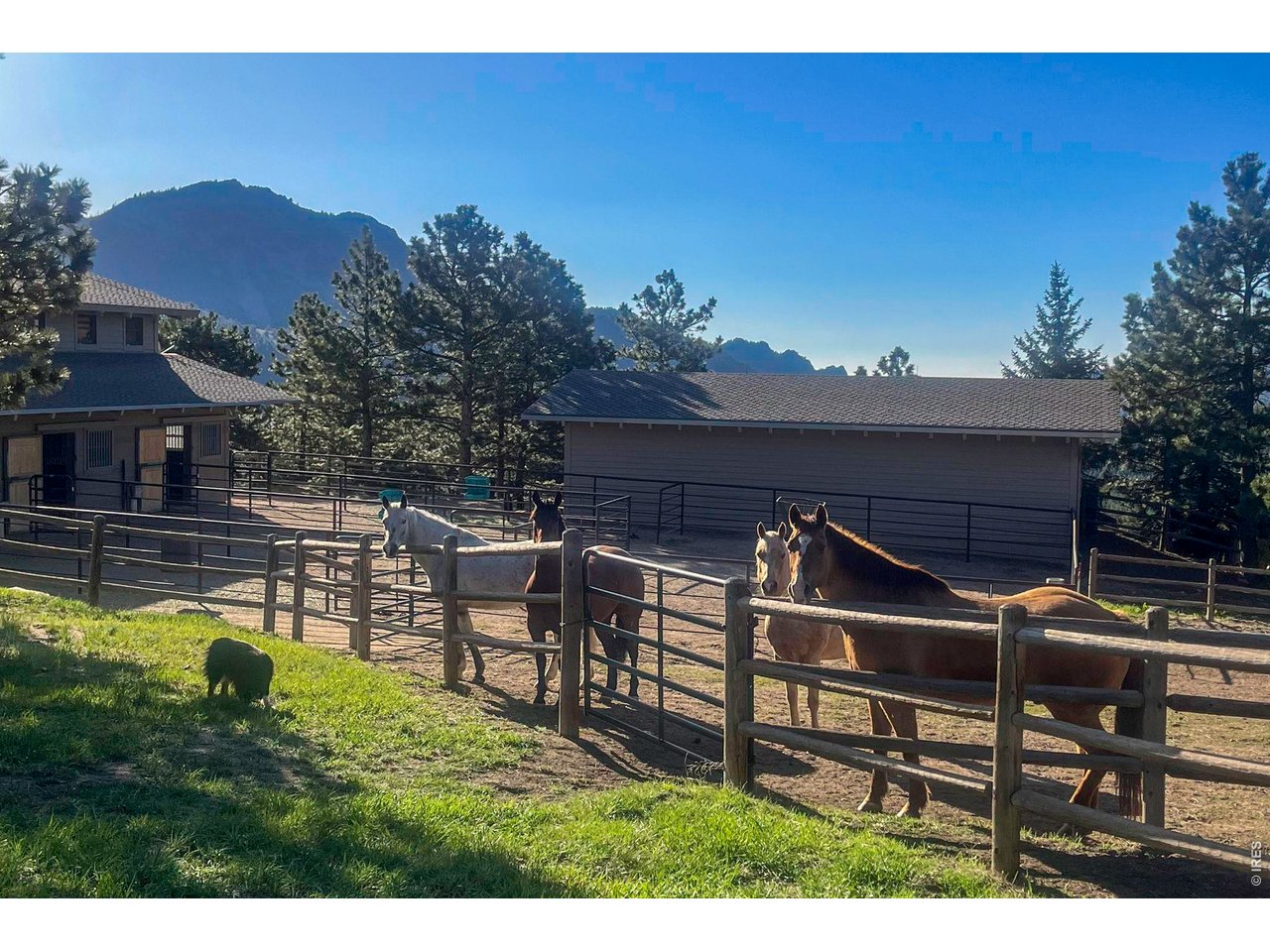 7321 Flagstaff Road Boulder, CO 80302 - Photo 45 of 48 Peaceful days