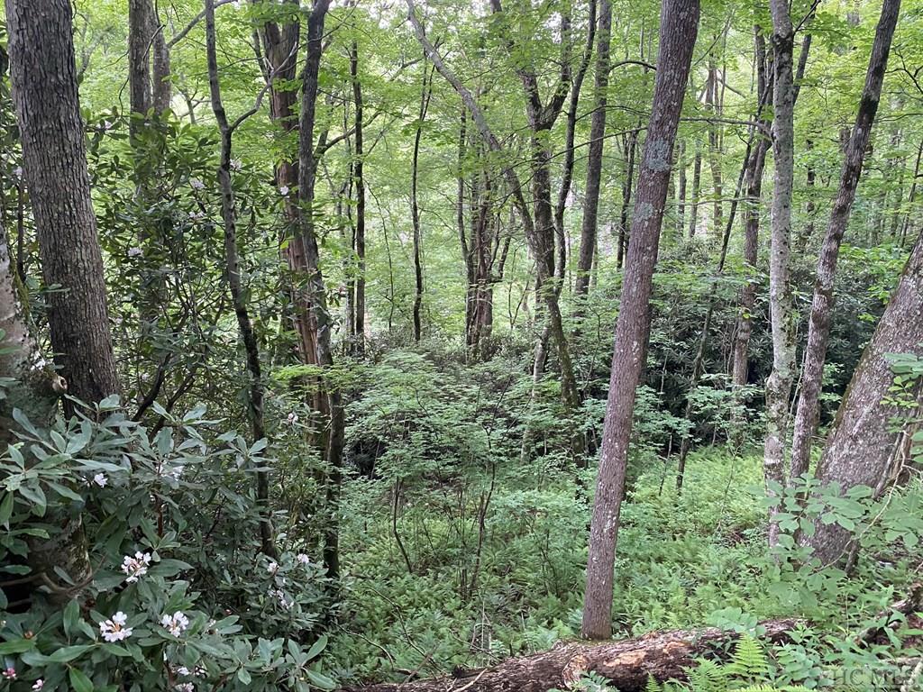 Tbd Dillard Road Highlands, NC 28741 - Photo 8 of 11 Gallery Image 8