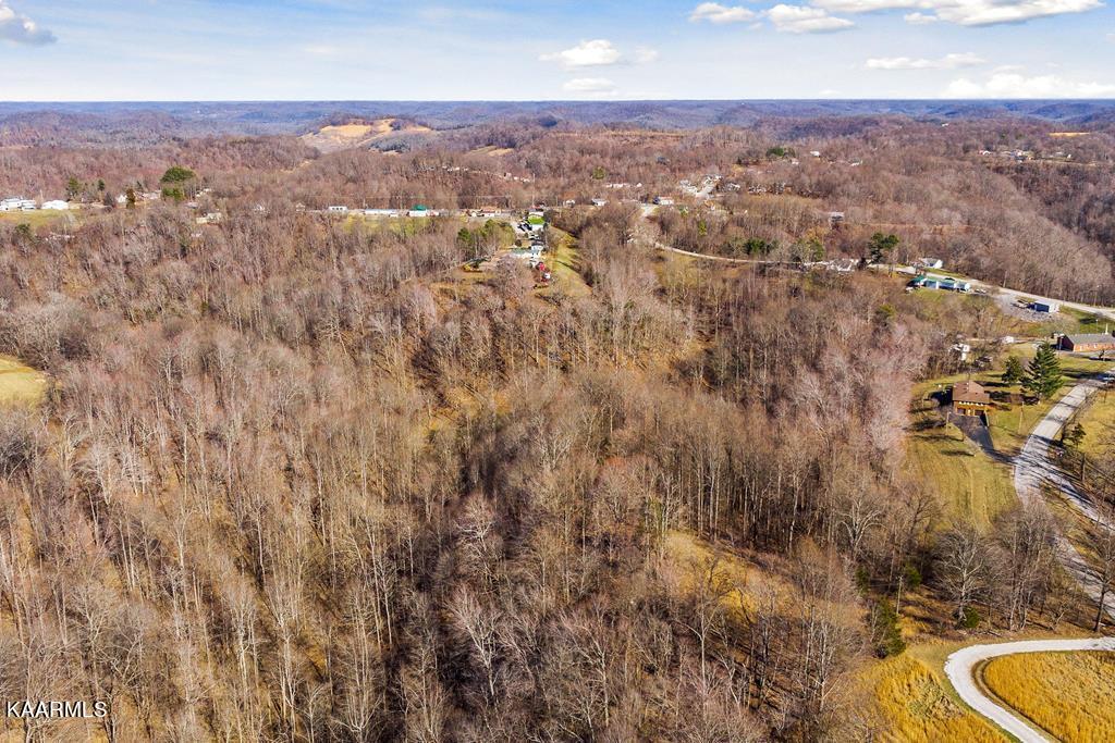 17.46-ac Pea Ridge Road Elmwood, TN 38560 - Photo 1 of 13 217062_0