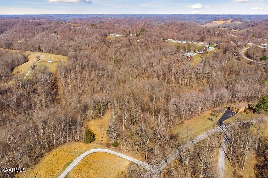 17.46-ac Pea Ridge Road Elmwood, TN 38560 - Photo 3 of 13 217062_2