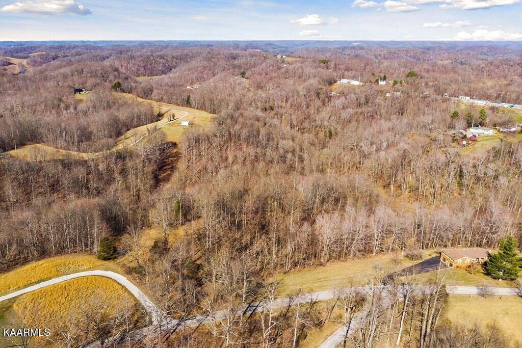 17.46-ac Pea Ridge Road Elmwood, TN 38560 - Photo 4 of 13 217062_3