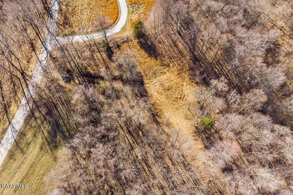 17.46-ac Pea Ridge Road Elmwood, TN 38560 - Photo 7 of 13 217062_6