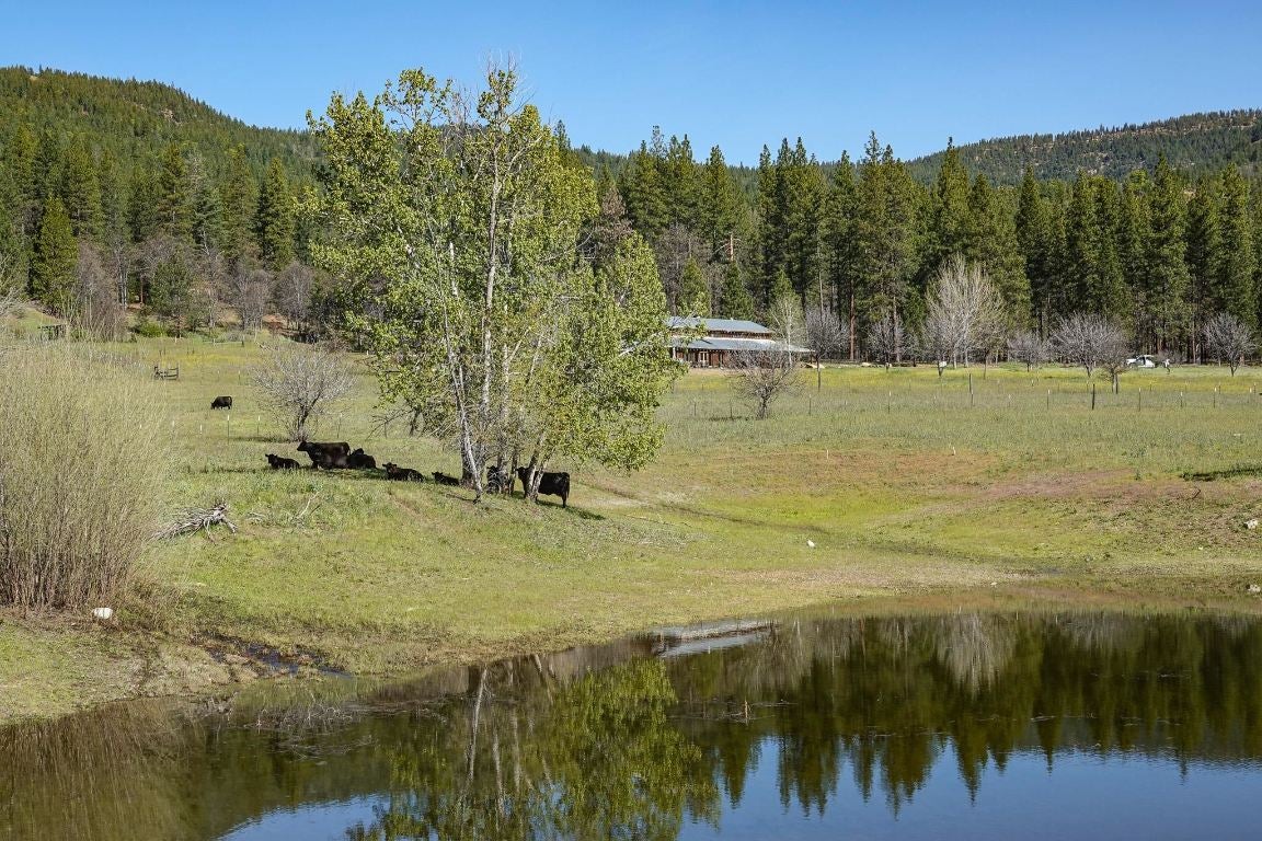 9515 Scott River Road Fort Jones, CA 96032 - Photo 43 of 47 Gallery Image 43