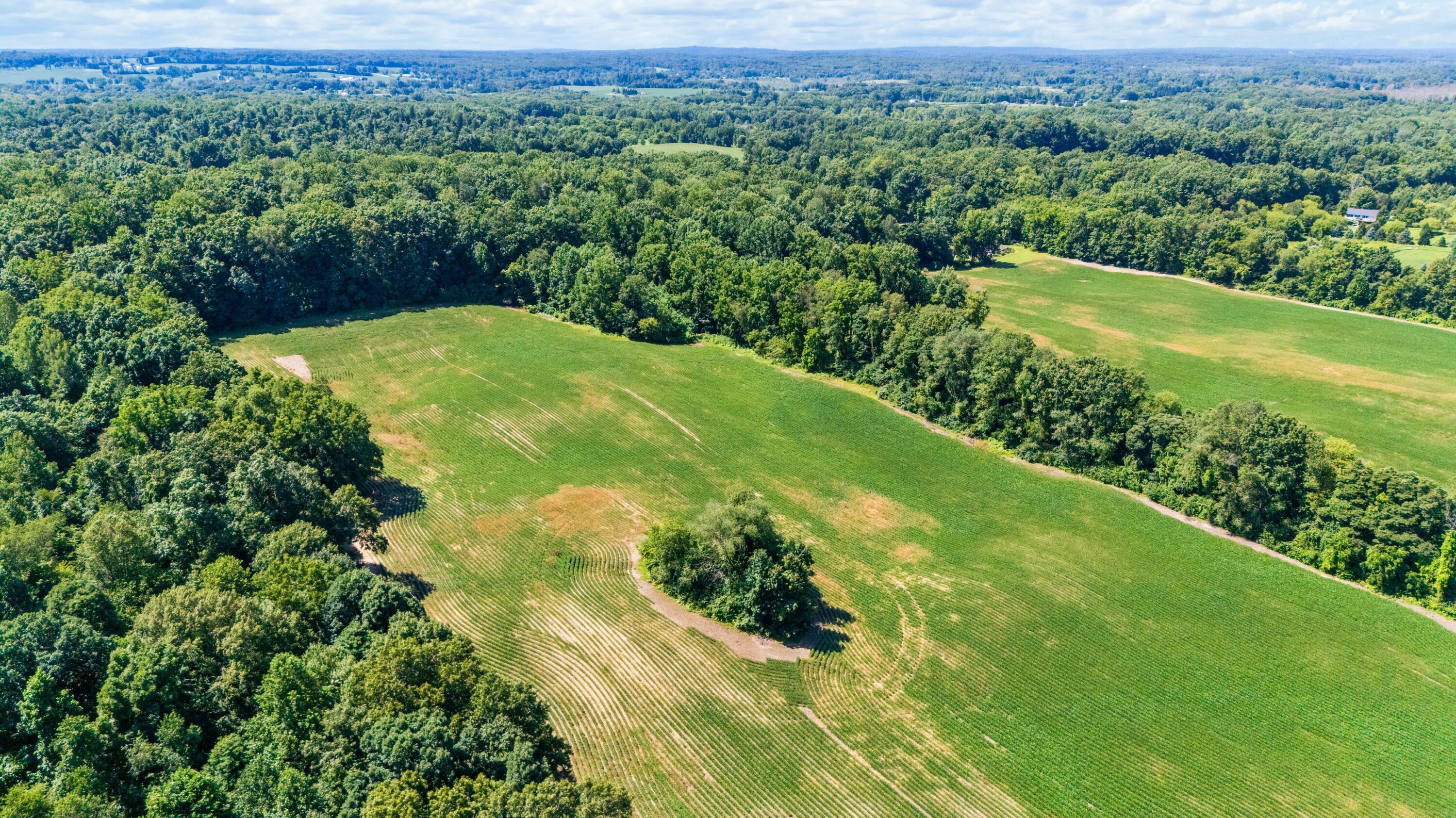12753 Bliss Road Marcellus, MI 49067 - Photo 18 of 45 12DJI_20260803120932_0012_D
