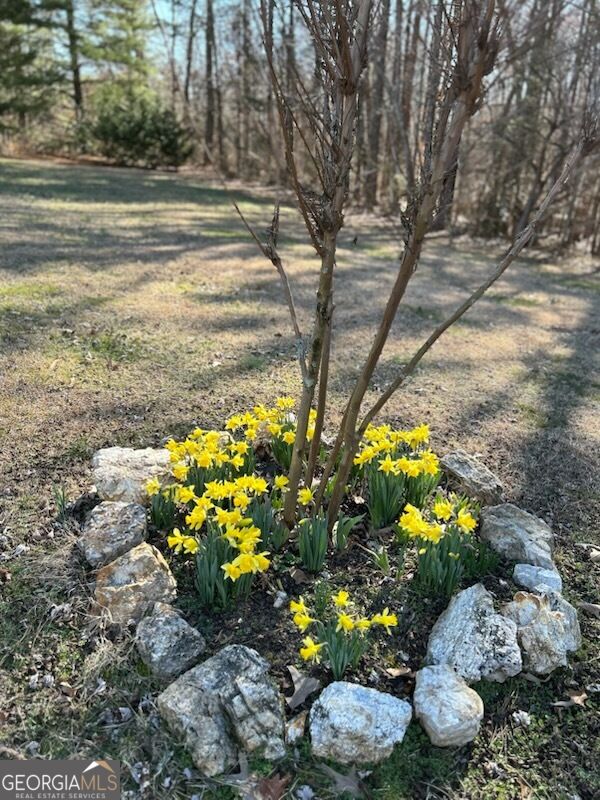 1328 Monroe Green Road Trion, GA 30753 - Photo 61 of 63 Gallery Image 61