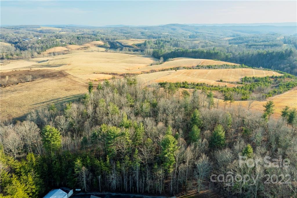 23.8-acres 23.8-acres Traphill Road Traphill, NC 28685 - Photo 32 of 38 Gallery Image 32