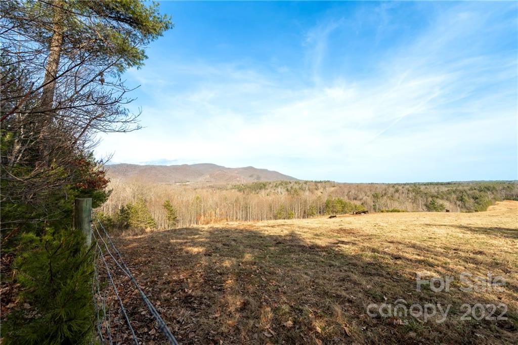 23.8-acres 23.8-acres Traphill Road Traphill, NC 28685 - Photo 10 of 38 Gallery Image 10