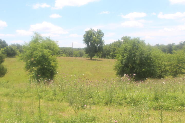 3176 South 170th Road Bolivar, MO 65613 - Photo 24 of 63 IMG_7606