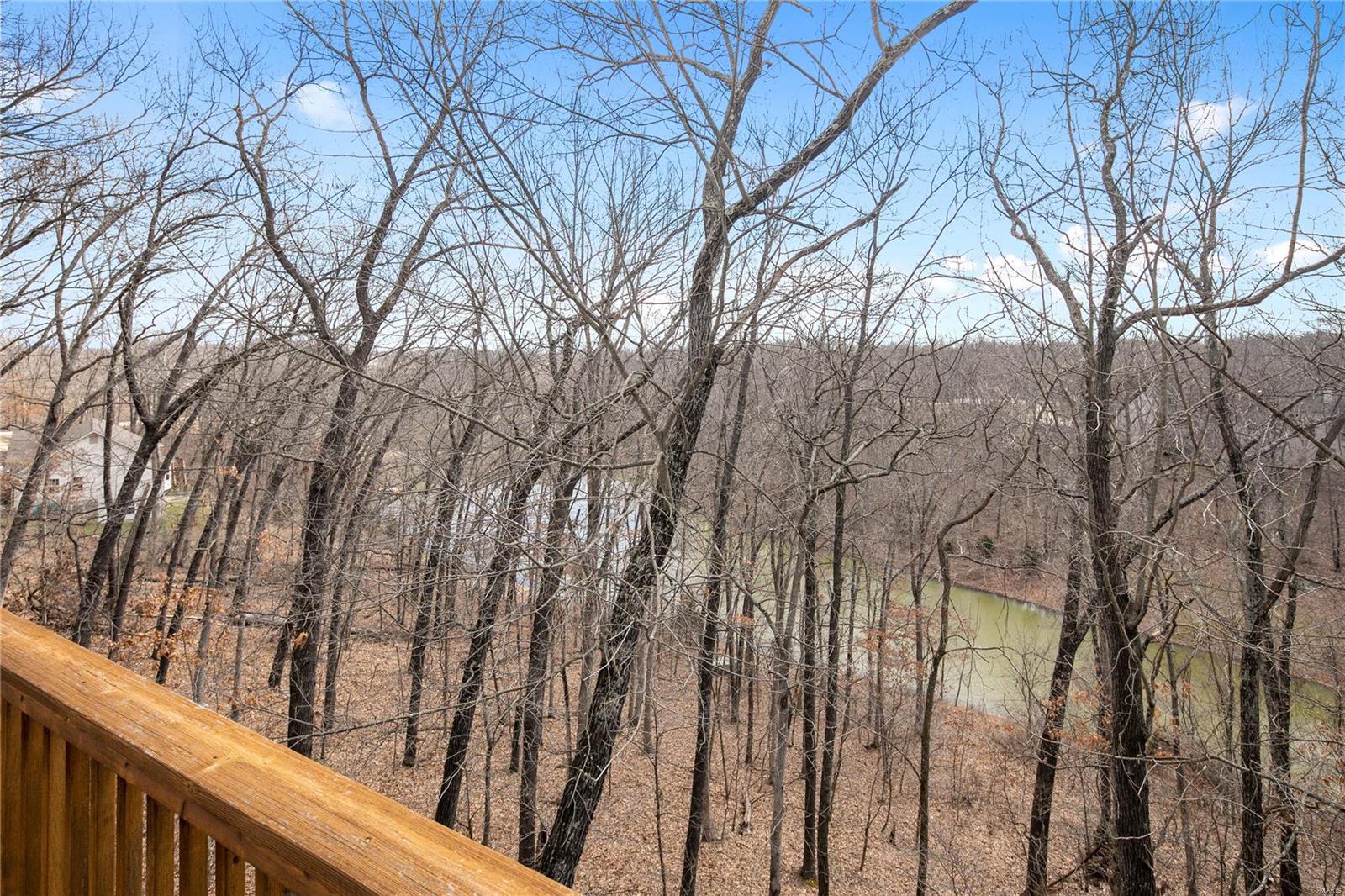 724 Timber Ridge Acre Drive High Ridge, MO 63049 - Photo 3 of 52