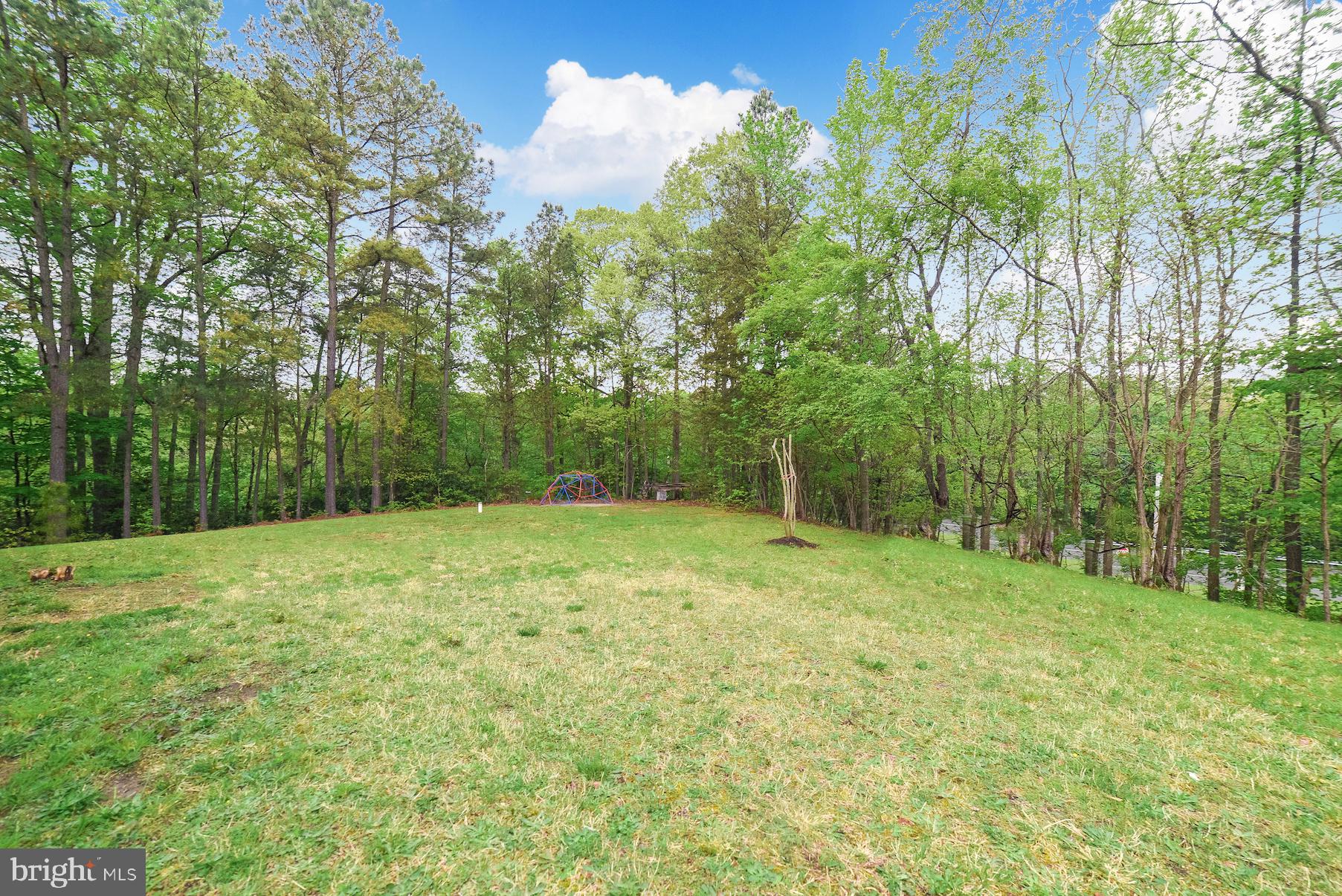 17067 St Peters Clavers Road Ridge, MD 20680 - Photo 3 of 28 Front yard