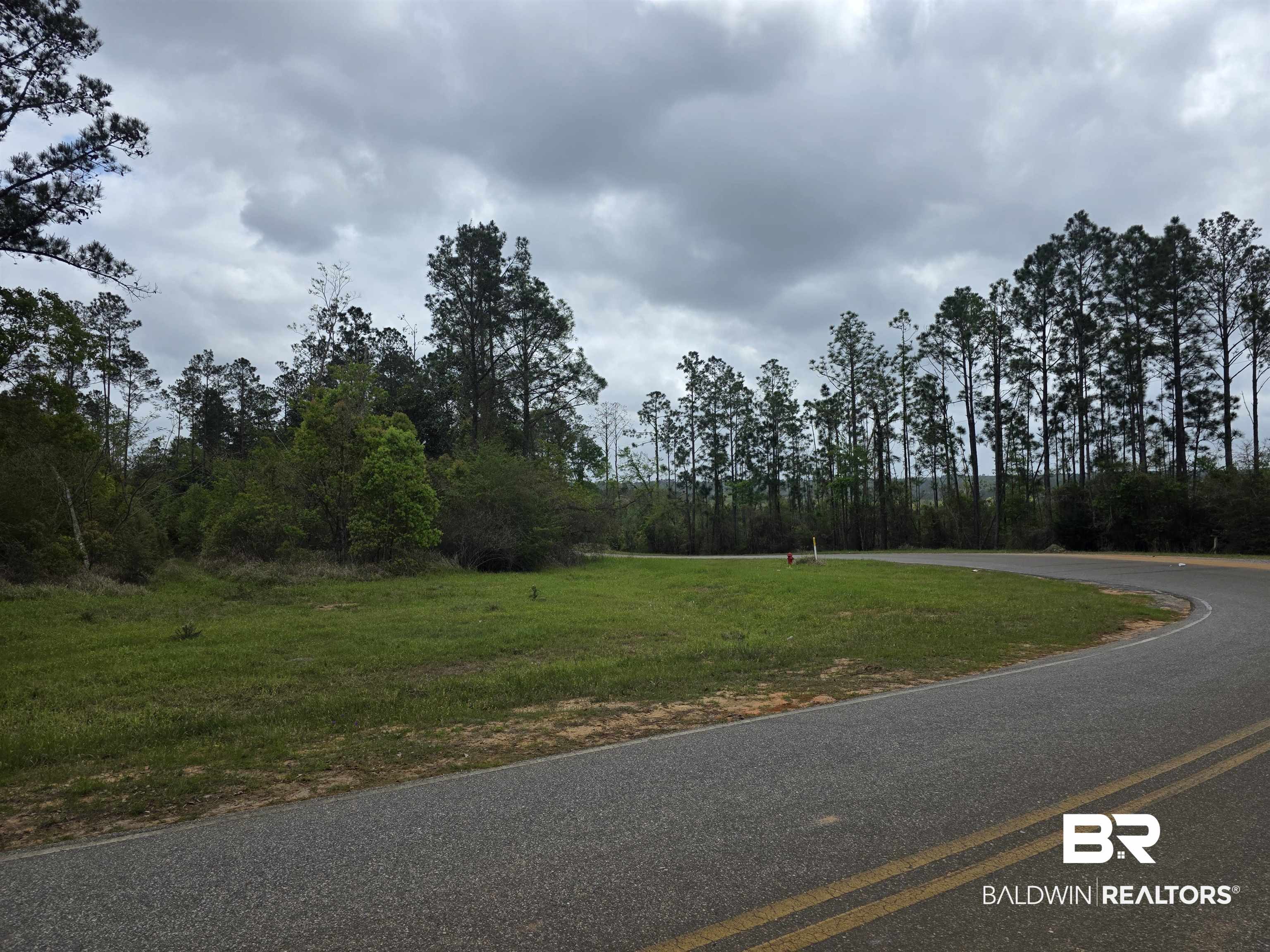 11631 Red Hill Rd Extension Bay Minette, AL 36507 - Photo 9 of 18 View of asphalt road