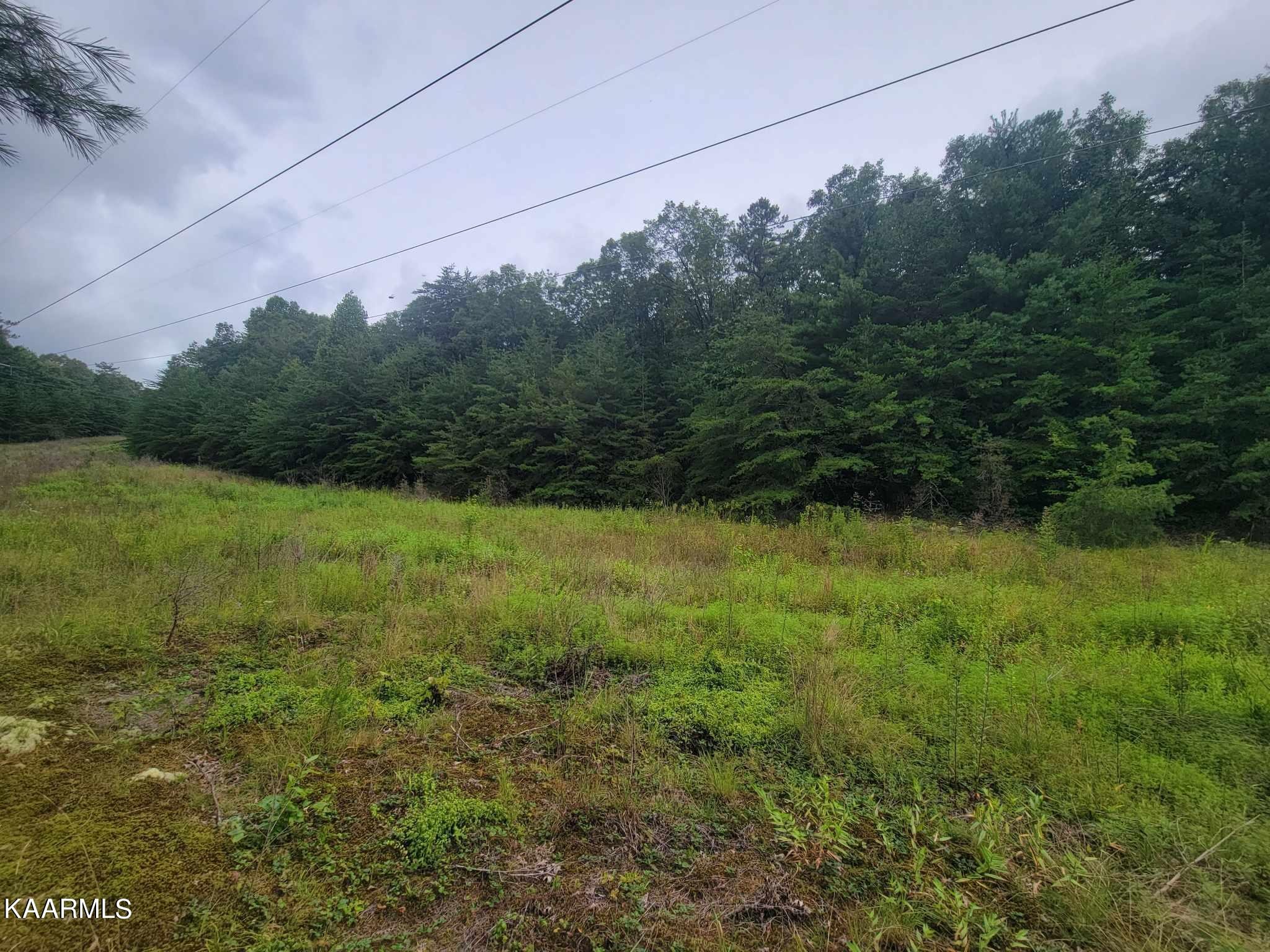 0 40 Model Farm Road Jamestown, TN 38556 - Photo 12 of 59