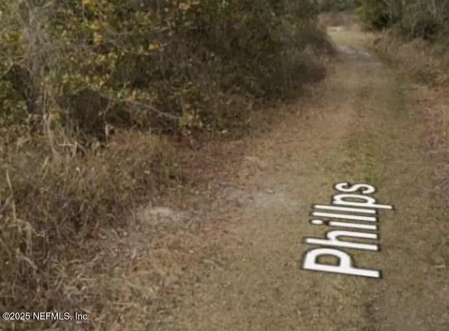 a green field with trees in the background