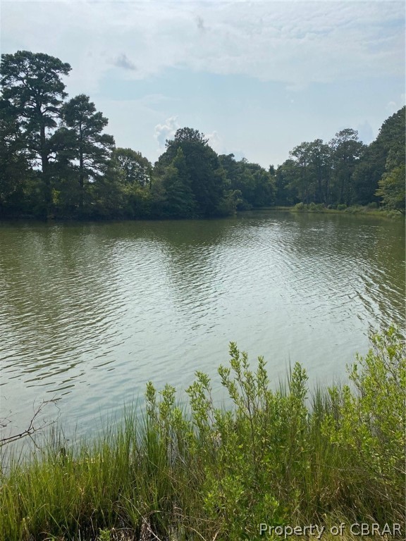 175 Heron Point Road Cardinal, VA 23025 - Photo 10 of 34
