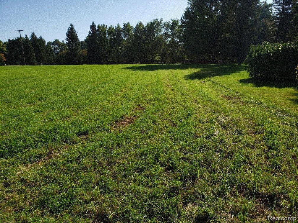 76900 Coon Creek Road Armada, MI 48005 - Photo 2 of 5 Coon Creek 1.gif