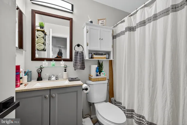 a bathroom with a sink a toilet a mirror and shower curtain