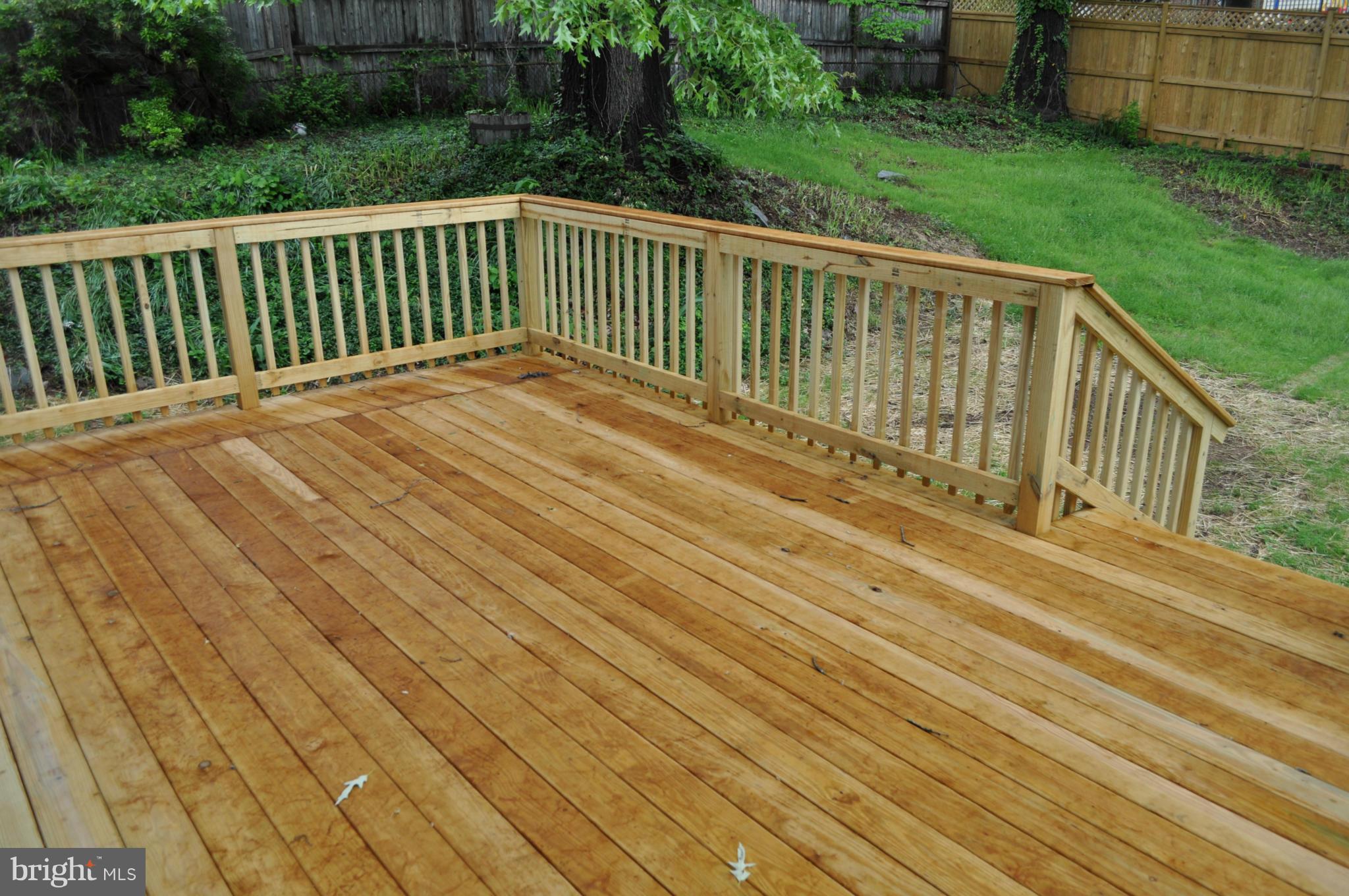 10011 Tenbrook Drive Silver Spring, MD 20901 - Photo 21 of 22 Exterior (Rear)